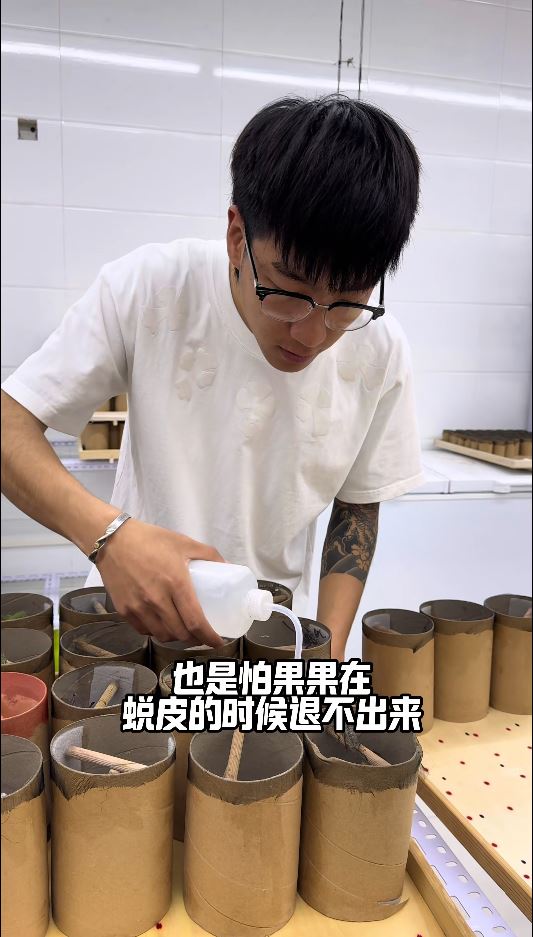 武新偉悉心繁殖蟈蟈及拍短片推廣，吸引不少鳴蟲玩家。抖音