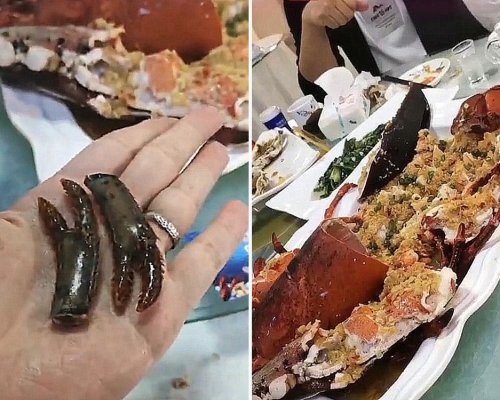 女食客帶活龍蝦餐廳加工， 掰下龍蝦的兩隻小鉗做記號，揭穿被調包，對方無從反駁。