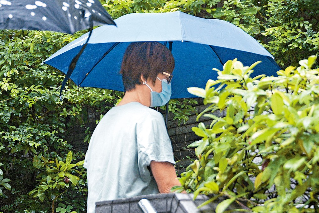 被告林美寶承認三項虐兒罪。