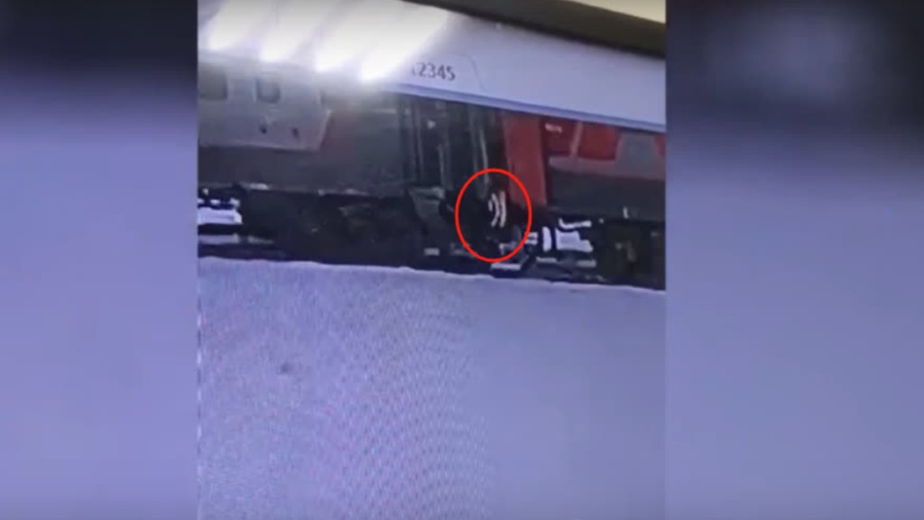 寵物貓特克斯被列車員扔出車外凍死，引發網絡極大迴響。