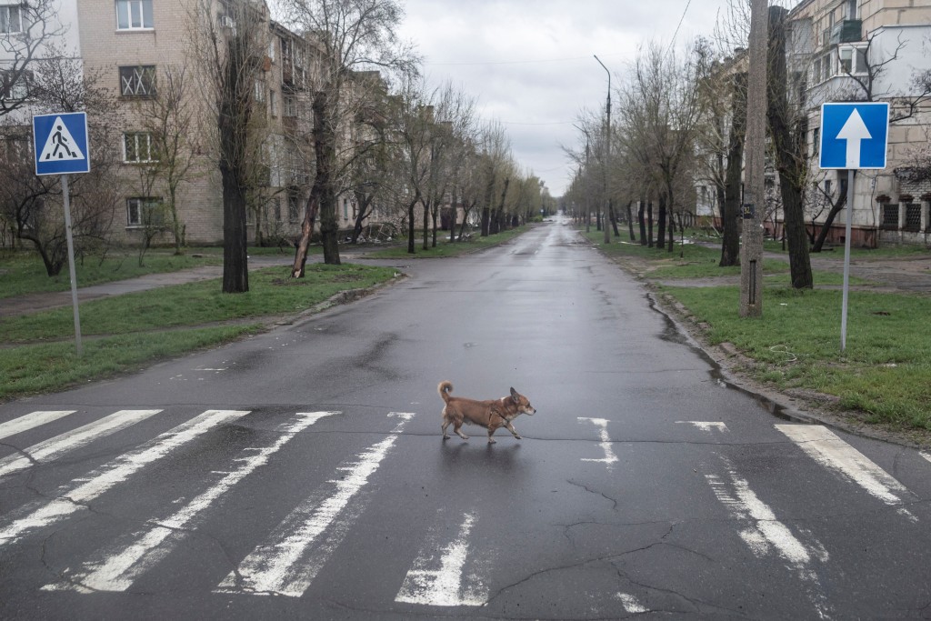 經過3個月戰火洗禮盧甘斯克地區一條街道空無一人。REUTERS