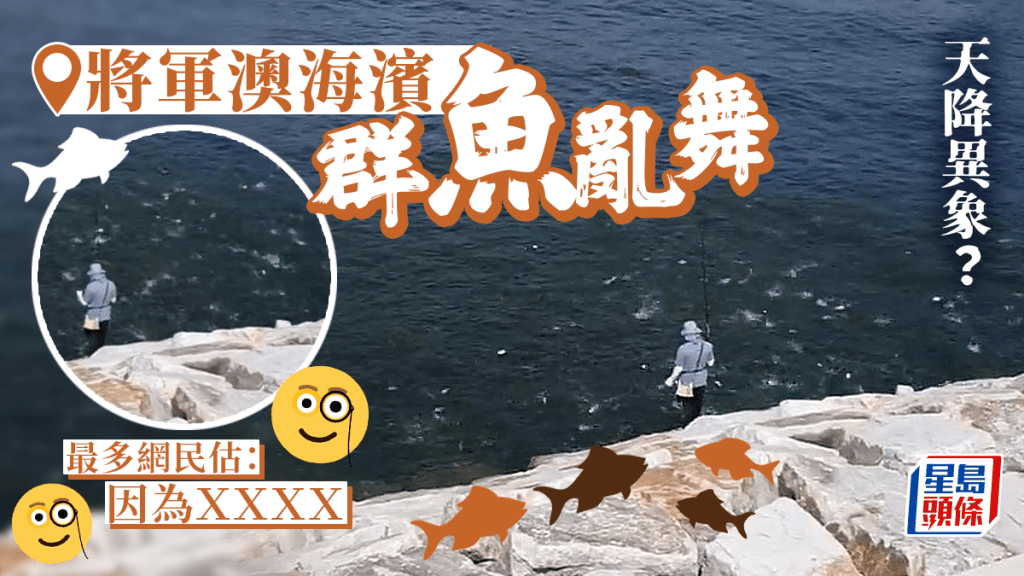 將軍澳群魚亂舞末日警示? 網民冷靜分析:因為呢個原因...... 將軍澳群魚亂舞末日警示? 網民冷靜分析:因為呢個原因......