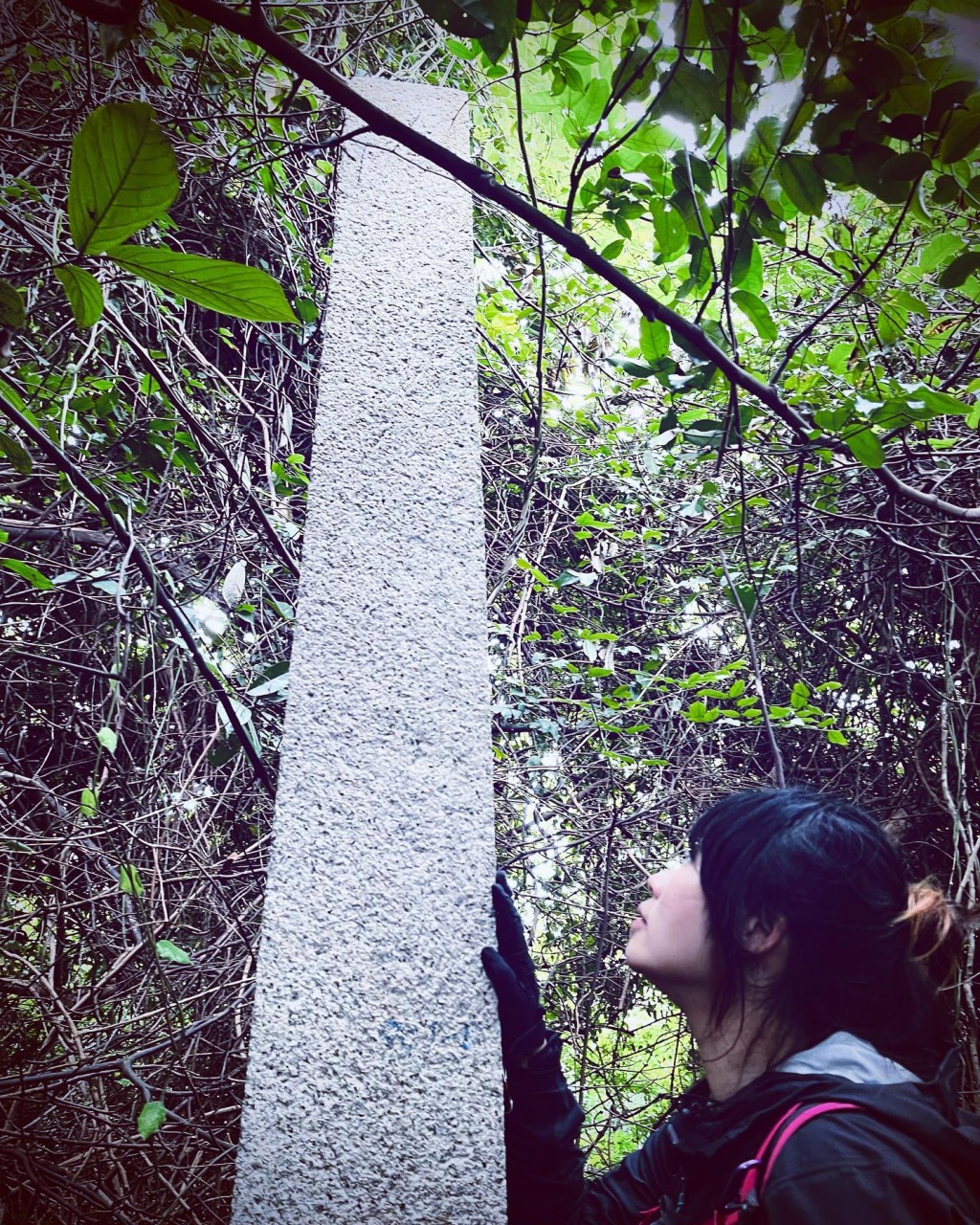 「香港行迹」创办人林晓欣先后在摩星岭发现五个方尖碑，相信与摩星岭华人坟场南北坡界线有关连。(香港行迹提供)