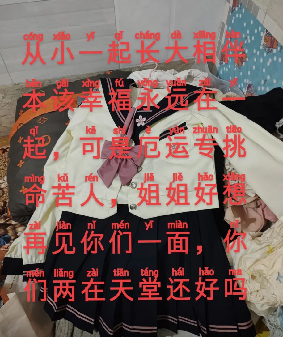 疑似死者的姐姐寫下對兩位妹妹的思念。抖音