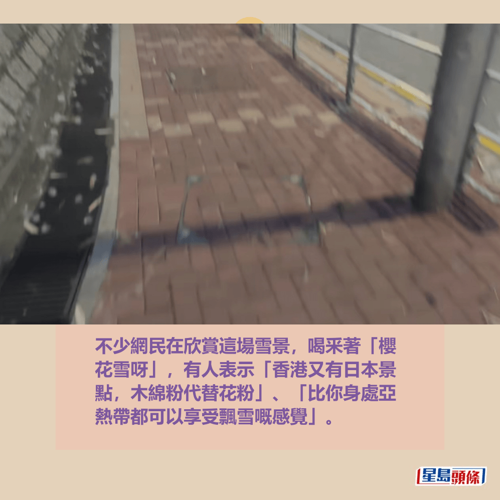 不少網民在欣賞這場雪景,喝釆著「櫻 花雪呀」,有人表示「香港又有日本景 點,木綿粉代替花粉」、「比你身處亞 熱帶都可以享受飄雪嘅感覺」。fb「真.屯門友」截圖 不少網民在欣賞這場雪景,喝釆著「櫻 花雪呀」,有人表示「香港又有日本景 點,木綿粉代替花粉」、「比你身處亞 熱帶都可以享受飄雪嘅感覺」。fb「真.屯門友」截圖