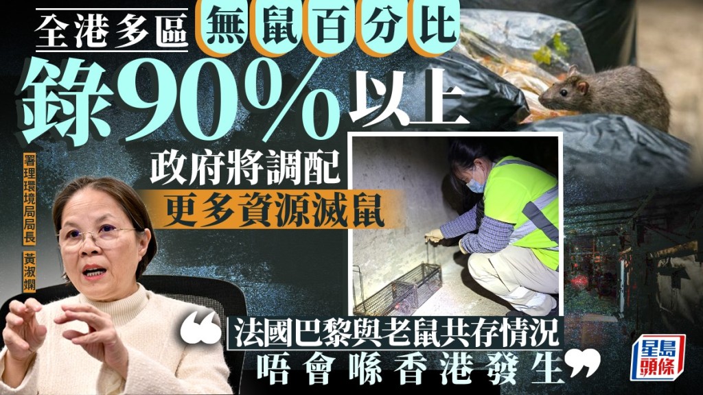 專訪︱全港多區「無鼠百分比」錄90%以上  環璄局黃淑嫻：本港不會與鼠共存