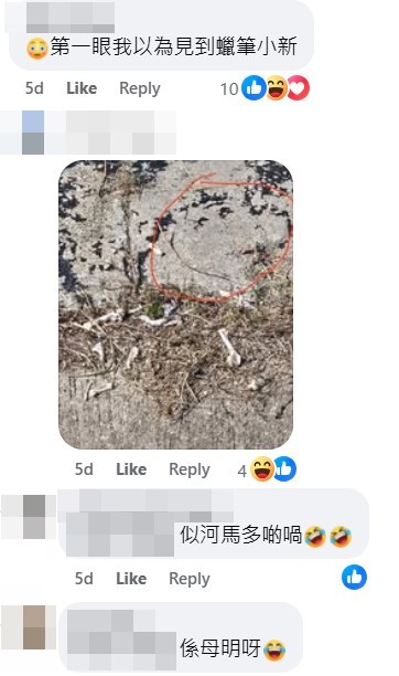 facebook截圖（資料來源：Patty Lee＠facebook將軍澳主場）