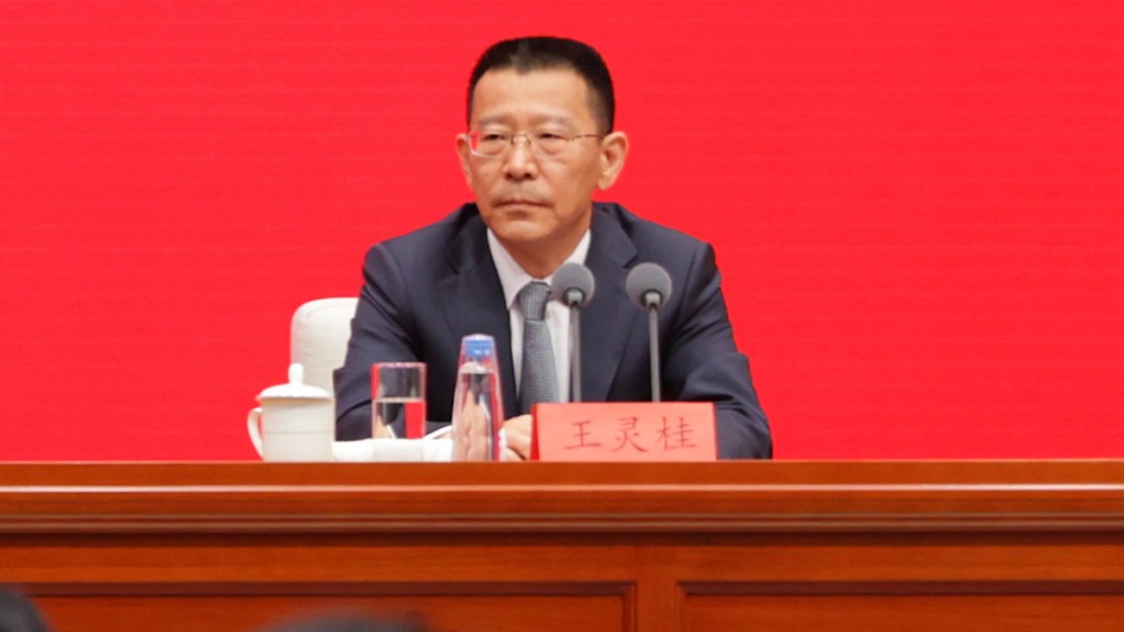 港澳辦副主任王靈桂升任中國僑聯黨組書記。中新社資料圖