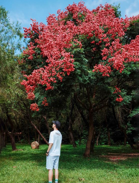 蓮花山公園是秋天攝影熱點