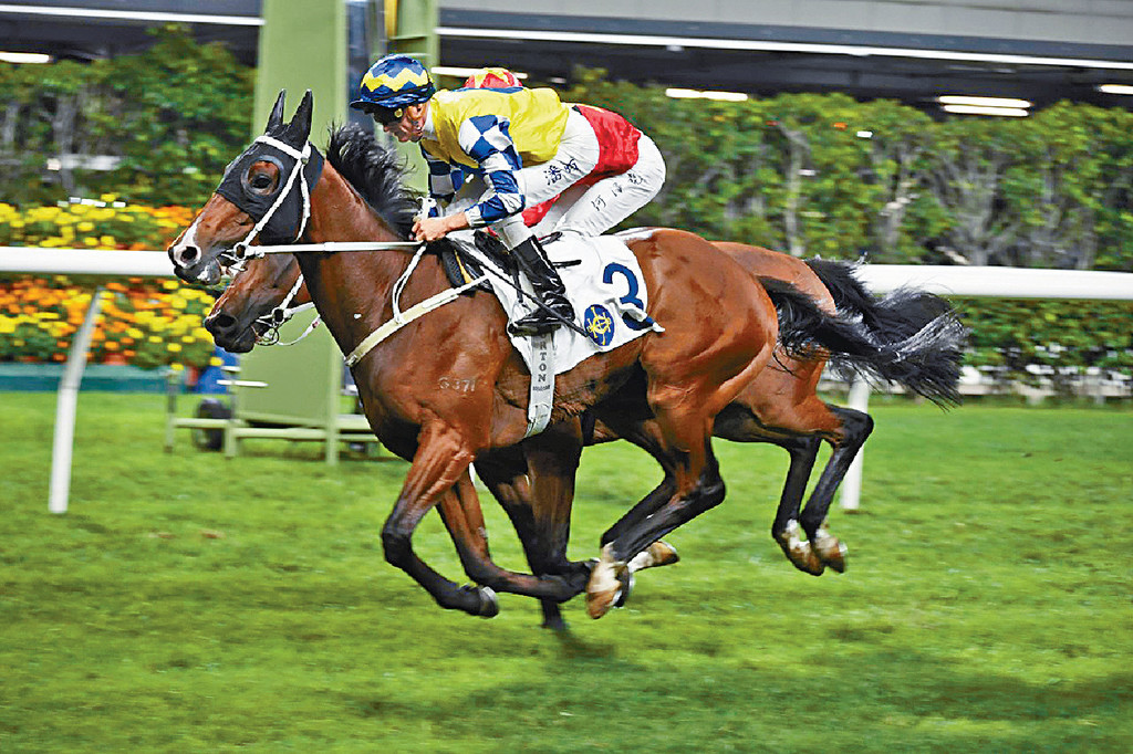 ■告東尼昨晚憑「當年情」和「天寅合一」包辦連贏，捧走韓國馬事會錦標。