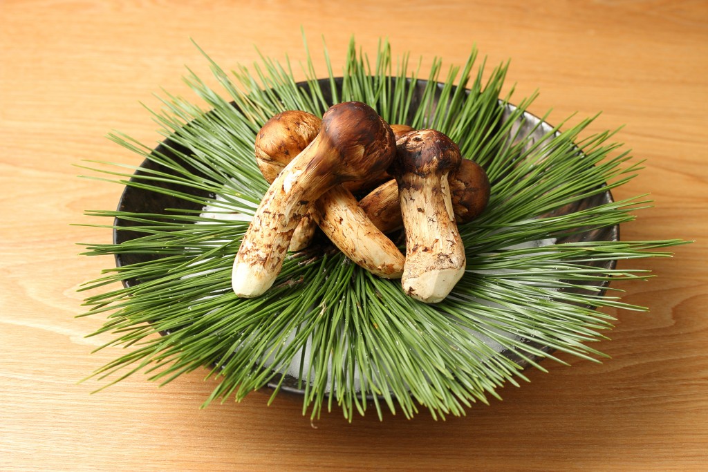 松茸在日本有「菇類之王」的稱譽，這次吃的是早松茸，未開傘的狀態，味道及營養更豐富。