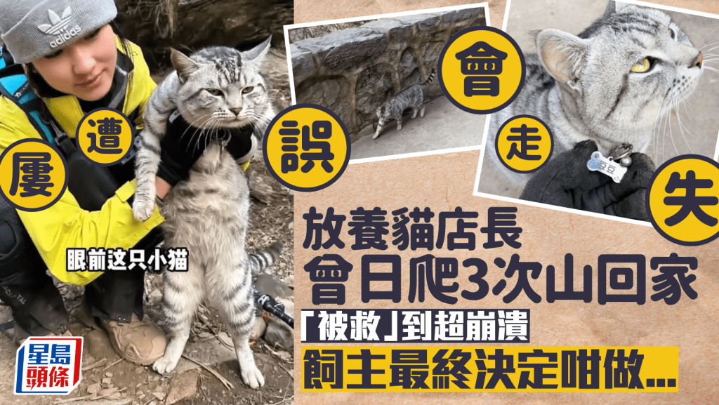 絕望坡店長貓「被救」到絕望  日爬三次太行山回家超崩潰︱有片