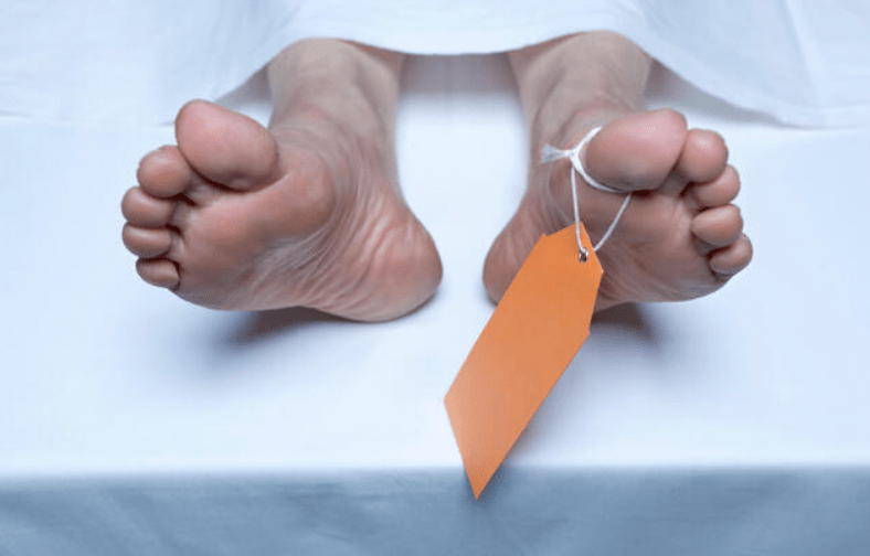 克勞克斯自述，當被單獨留在解剖室時，他會偷偷割下屍體小塊肌肉生吃，後來甚至帶回家烹煮。Alamy示意圖