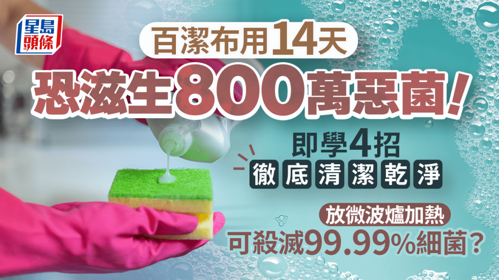  百潔布用14天恐滋生800萬惡菌！即學4招徹底清潔 放微波爐加熱可殺滅99.99%細菌？