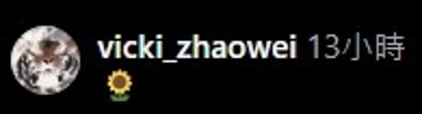 昨日（12日）趙薇就在IG上分享了一張轉陀螺的照片，並留下一個「向日葵」的emoji，瞬間引來粉絲暴動。