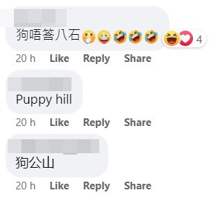 有人离题献上英文名「puppy hill」。网上截图