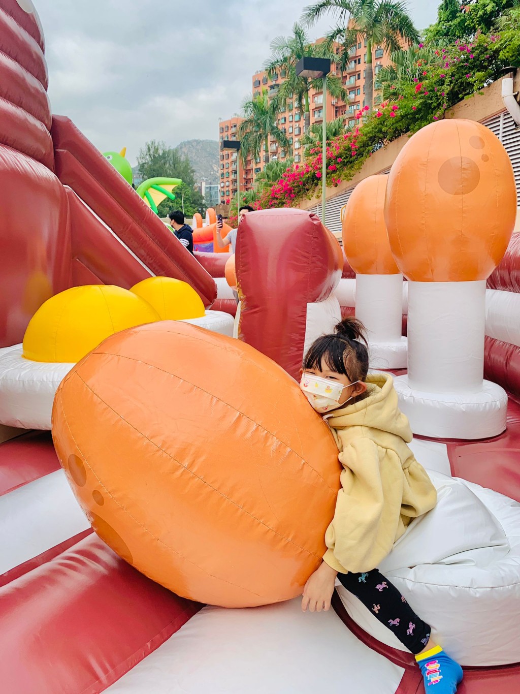 (圖片提供:mrs1amology) (圖片提供:mrs1amology)