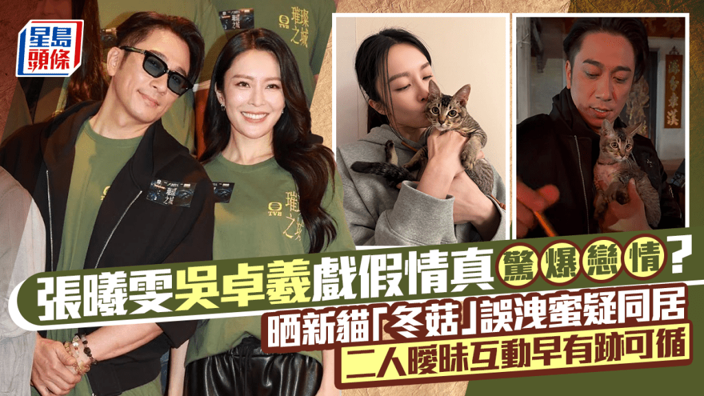 張曦雯吳卓羲戲假情真驚爆戀情？晒新貓「冬菇」誤洩蜜疑同居 二人曖昧互動早有跡可循