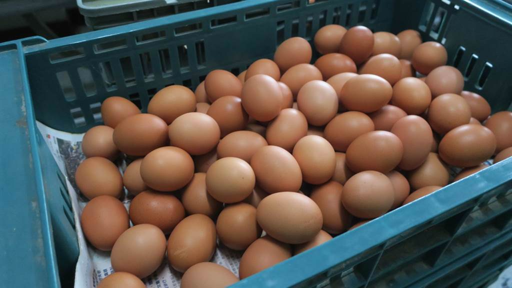 蛋價不停上升。中時