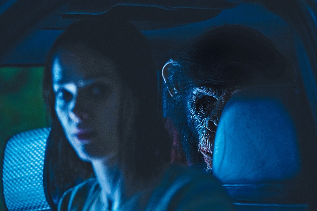 兇殘黑猩猩阿賓由Miguel Torres Umba扮演。