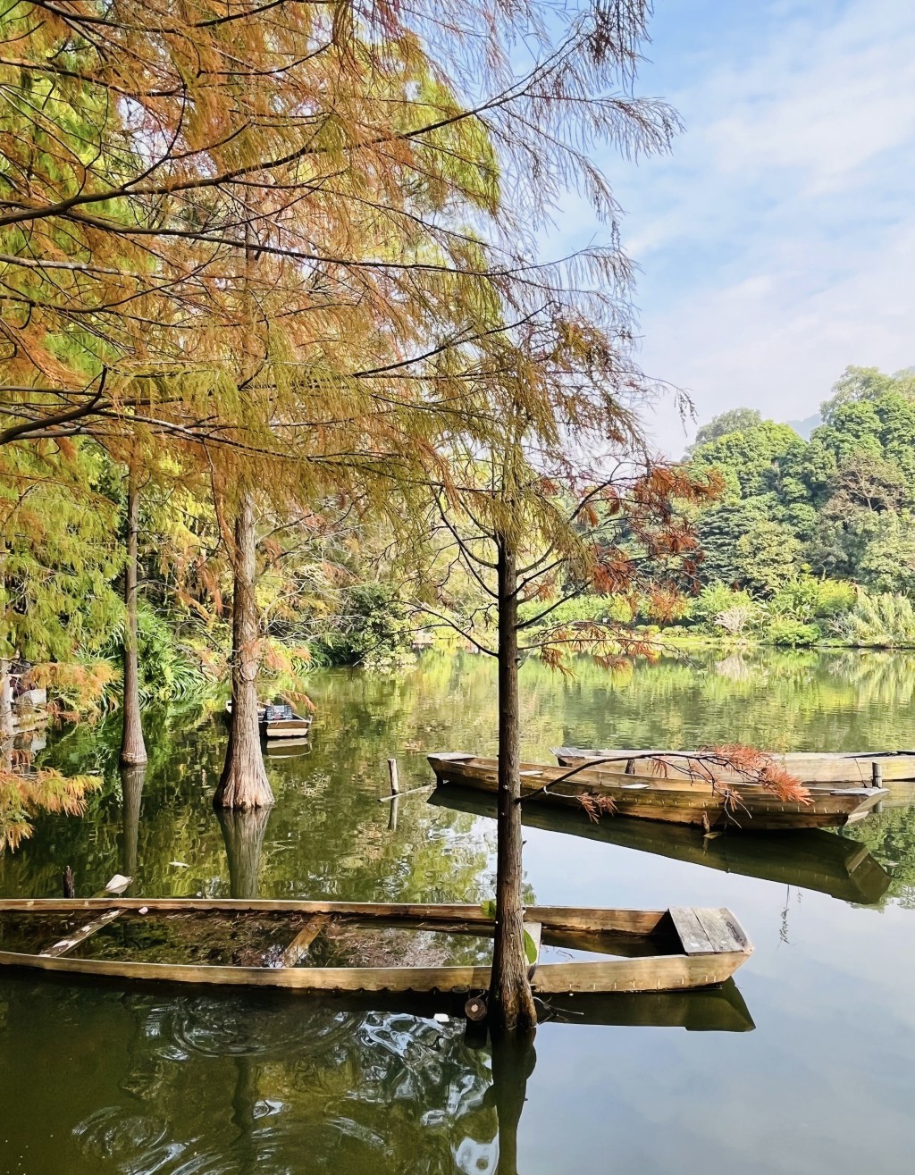 深圳景區元旦接待量排名前十：仙湖植物園
