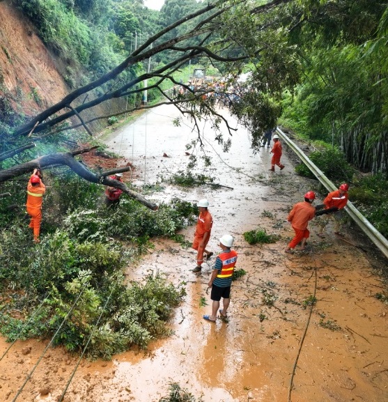 玉林多处道路出现塌方及被倒下大树阻塞情况。央视截图