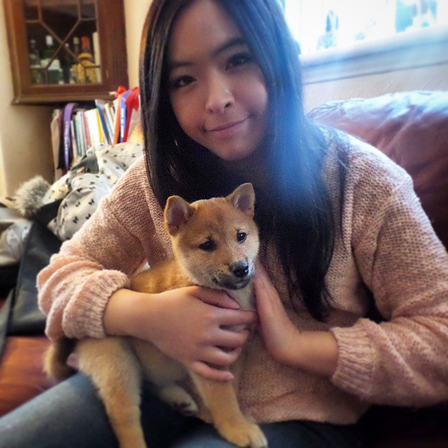 許美琪的愛犬。