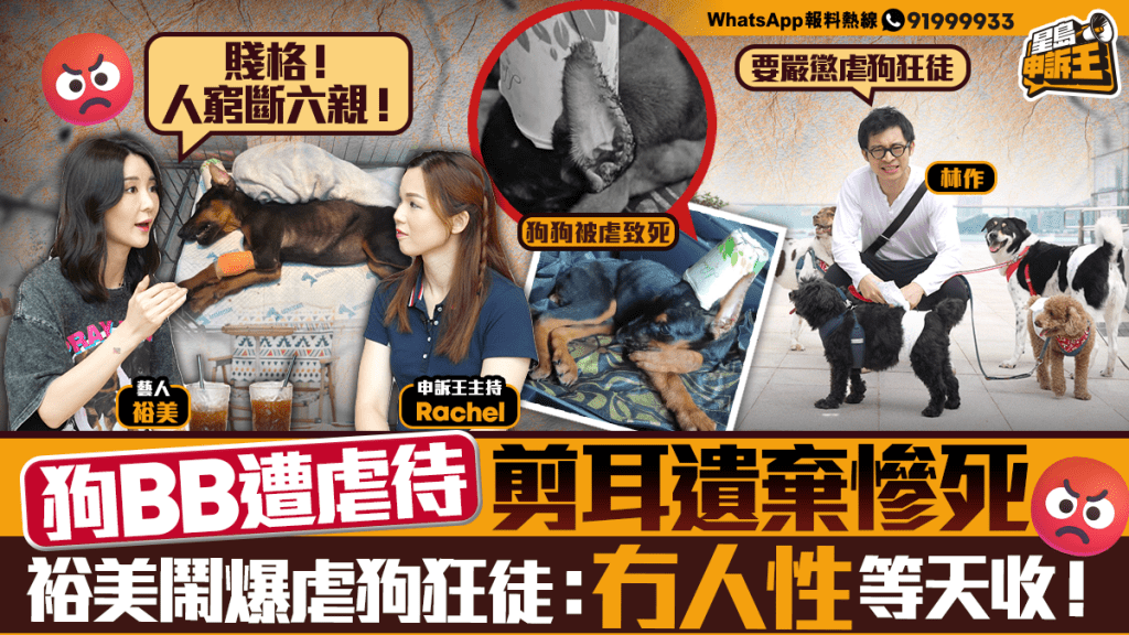 《星島申訴王》｜ 狗BB遭虐待剪耳遺棄慘死   裕美鬧爆虐狗狂徒：冇人性等天收！
