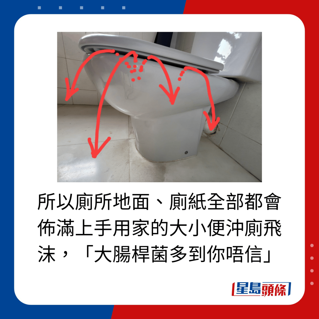 所以廁所地面、廁紙全部都會 佈滿上手用家的大小便沖廁飛沫，「大腸桿菌多到你唔信」