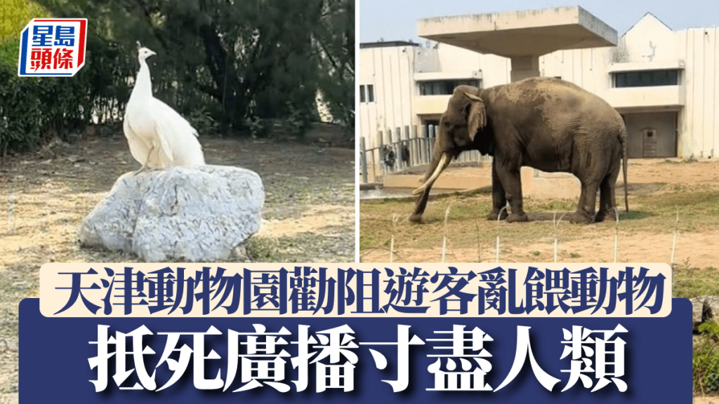 天津動物園近日一個勸阻遊客餵飼動物的廣播引起網絡熱話。抖音@小皮蛋的日常
