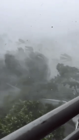 颱風杜蘇芮晉江沿海登陸，暴風雨吹得樹下都變形。