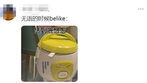 美的这款迷你电饭煲，引发热议。