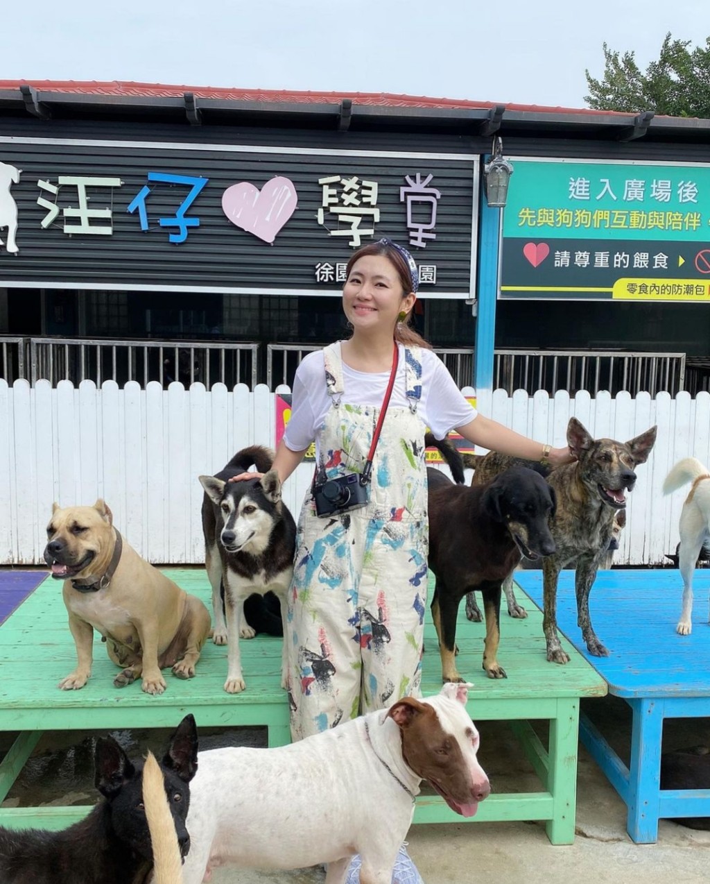 Selina為受傷的流浪狗拍寫真。