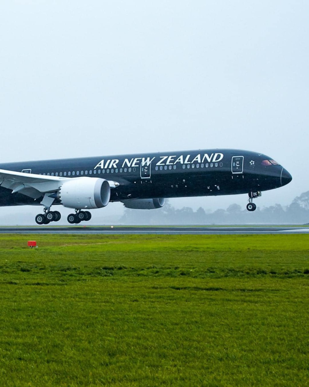 新西蘭航空（Air New Zealand）連續第三年蟬聯第一。新西蘭航空FB圖片