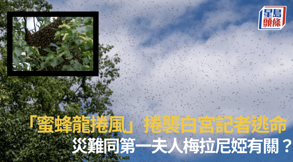 路透社