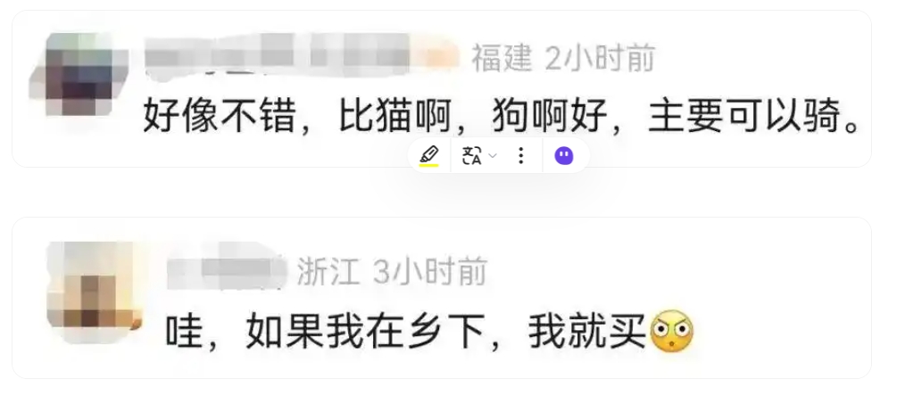 網民輕視了飼養迷你馬的難處。 網民輕視了飼養迷你馬的難處。