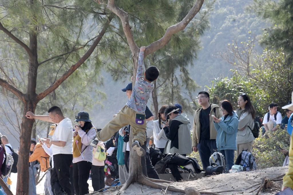 不少遊客花式爬樹。