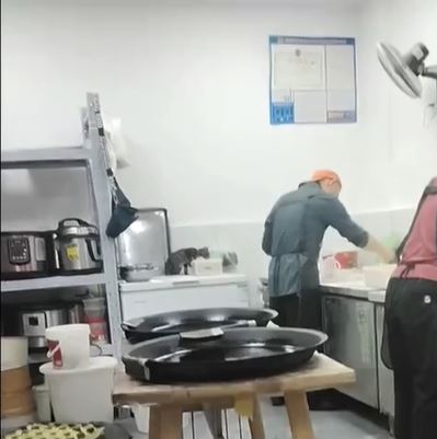 湖北有食店用被貓咪啃吃過的肉餡製作包子，被質疑不衞生。新京報