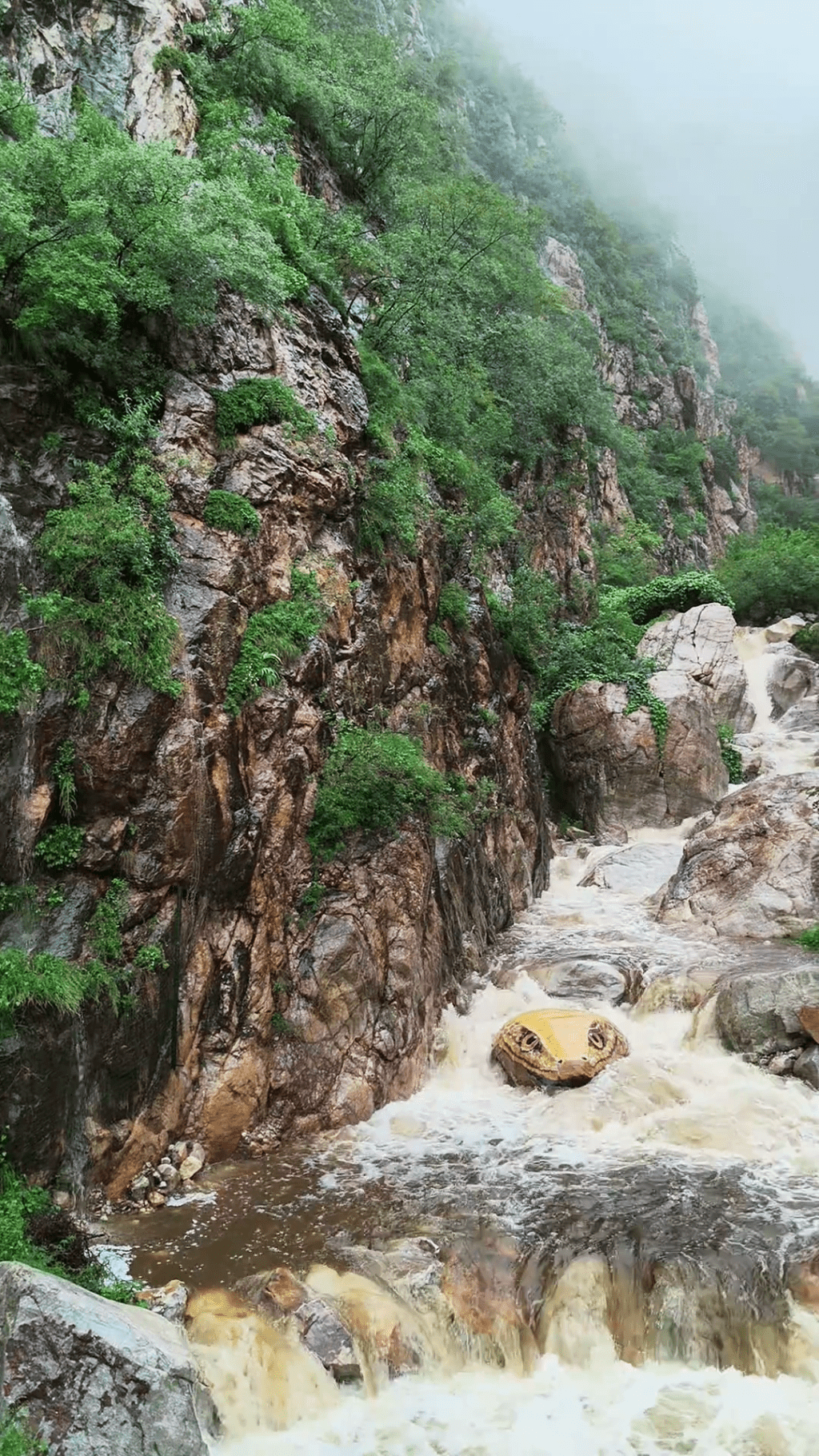 河南嵩山玉皇溝景區 「巨型蛇頭」彩繪,非常逼真。 河南嵩山玉皇溝景區 「巨型蛇頭」彩繪,非常逼真。