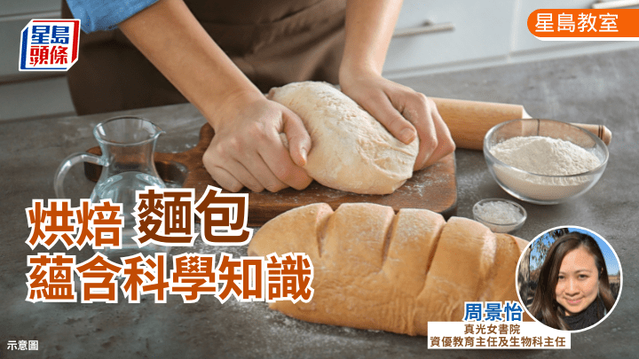  烘焙麵包 蘊含科學知識｜星島教室