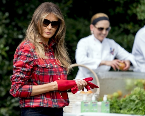 梅拉尼婭和一班孩子在白宮菜園種植和收割蔬菜。AP