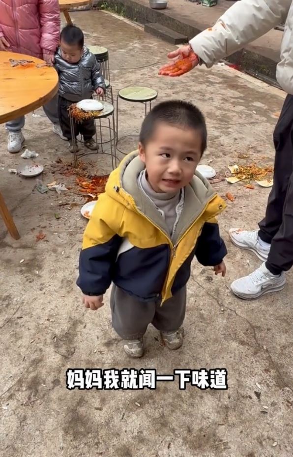 男童開席前弄翻菜餚，痛哭認錯短片在網上熱播。抖音
