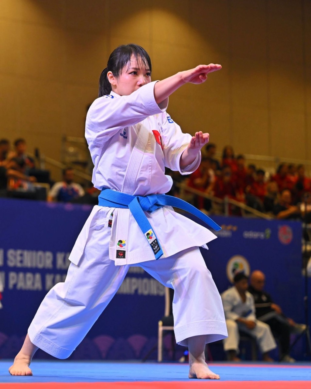 WKF 圖 WKF 圖