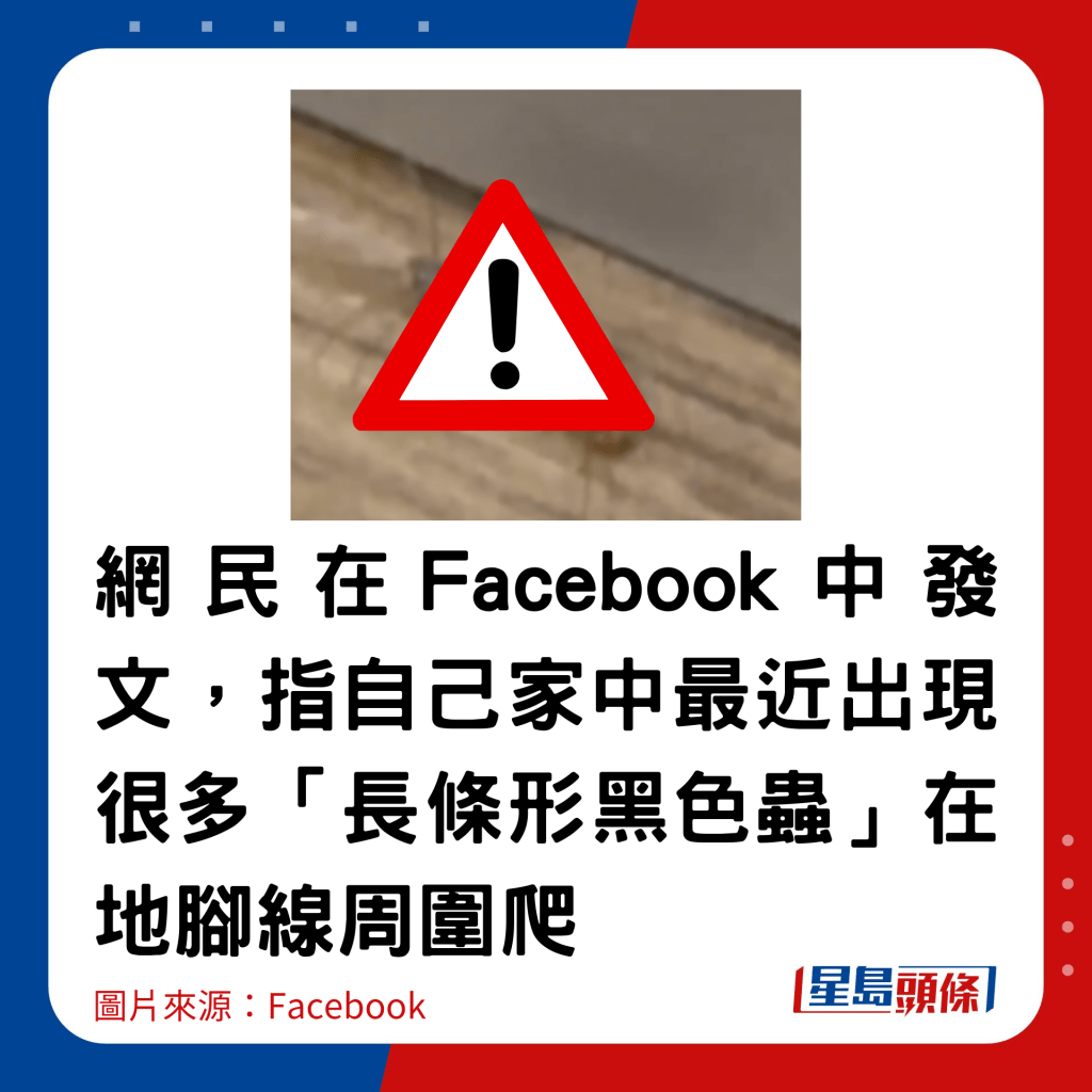 網民在Facebook中發文，指自己家中最近出現很多「長條形黑色蟲」在地腳線周圍爬