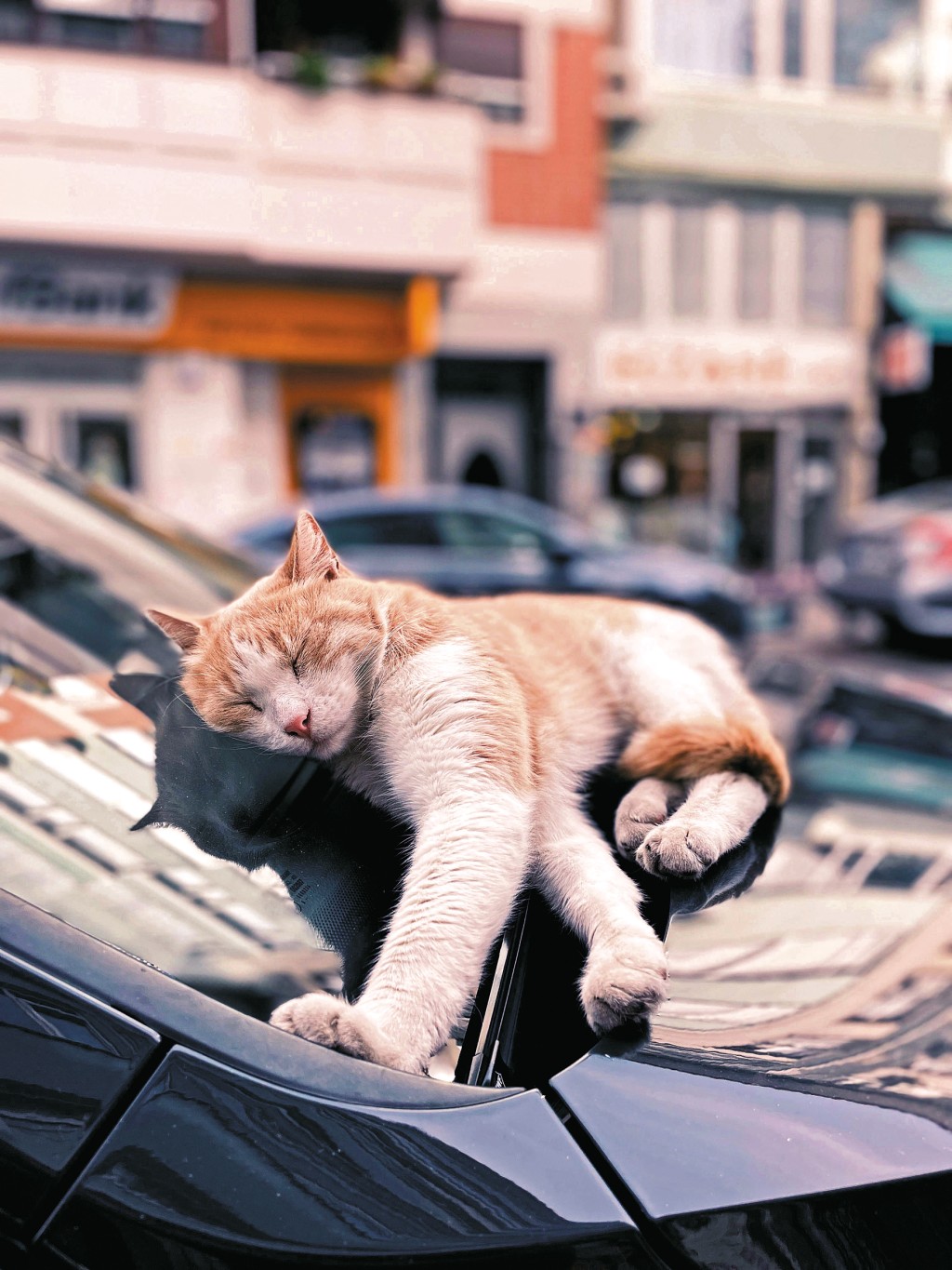 今時今日汽車裝上車Cam是常識吧！而且，最好是接駁「長火」，即是提供電源讓車Cam在有需要時可運作拍攝。