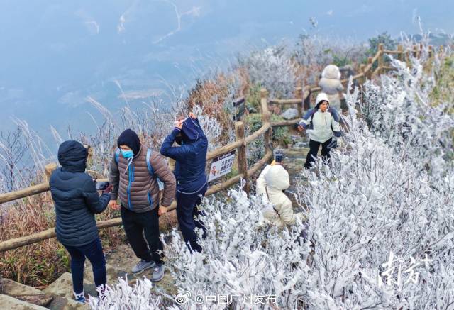 清遠連山出現霧凇冰凍景色。