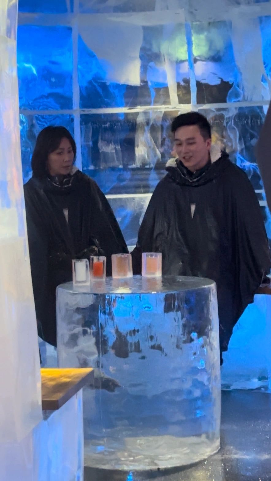 網民在一間冰酒吧遇到劉嘉玲一行人。