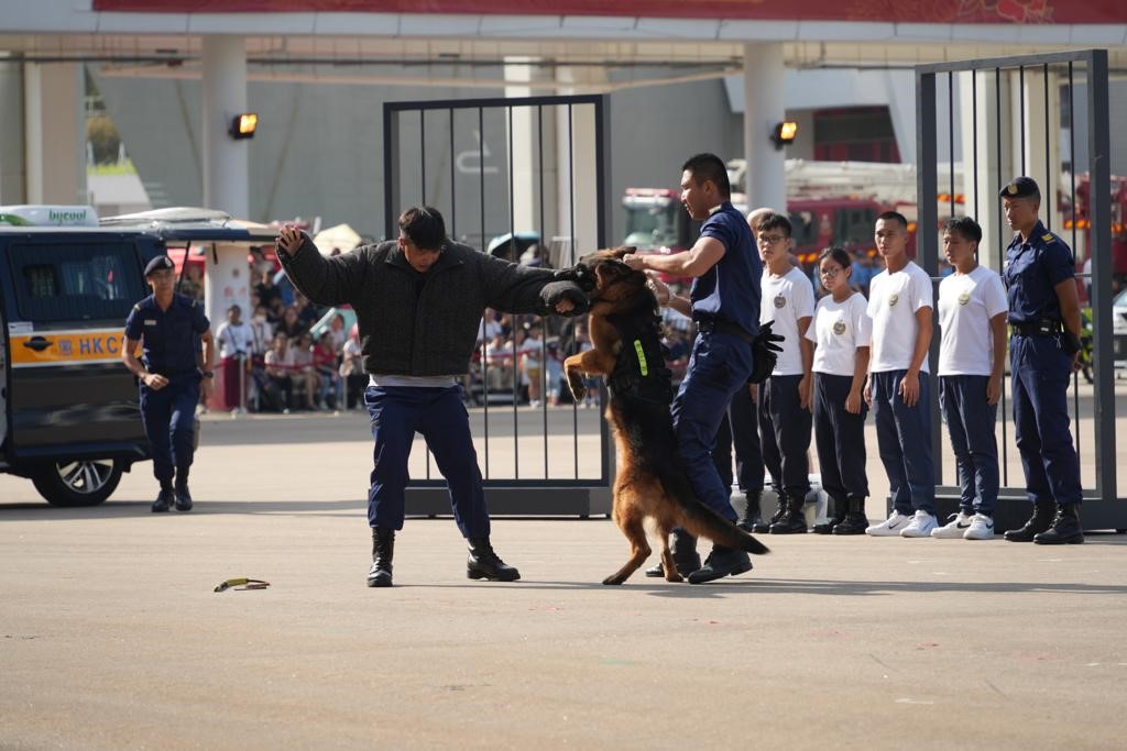 紀律部隊工作犬示範。圖為去年活動情況。