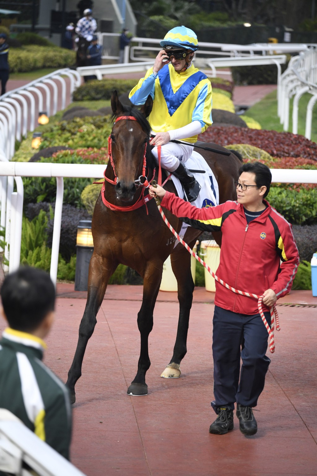 「大至尊」明日配潘顿挑战香港打吡大赛。