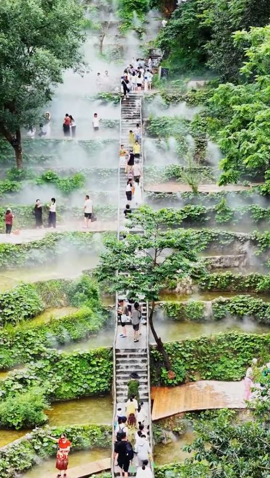 洛陽重渡溝自然風景區被指植被造假。抖音